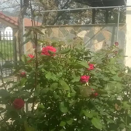 بيت ضيافة Eleon 2 *