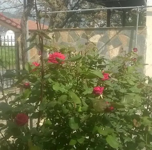 Vendégház Eleon 2 4*